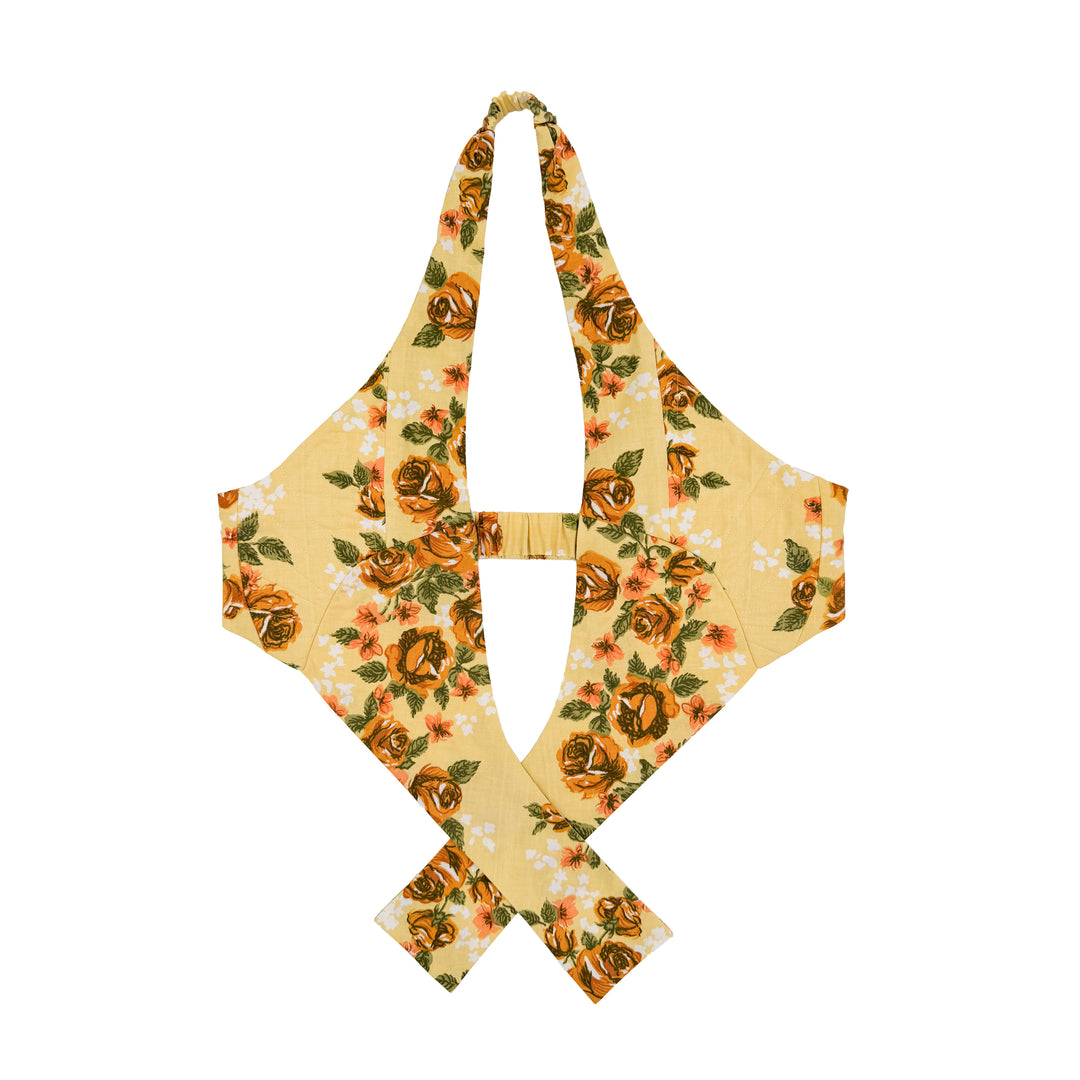 Yellow Safari